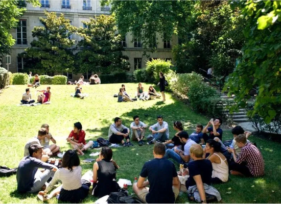 Discover the Best Summer Schools