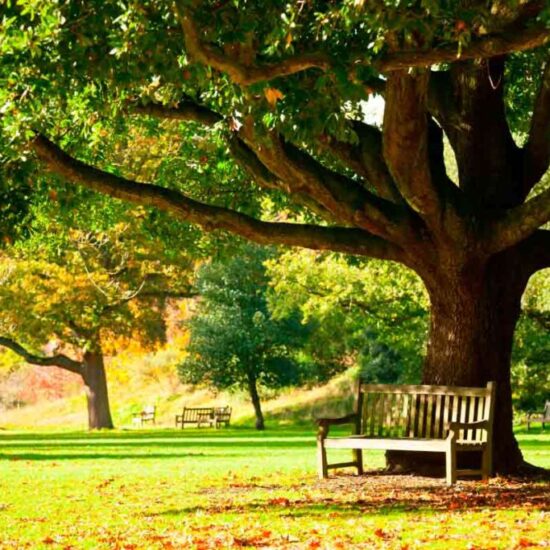 Exploring Muswell Hill London: A Hidden Gem