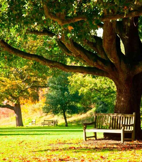 Exploring Muswell Hill London: A Hidden Gem