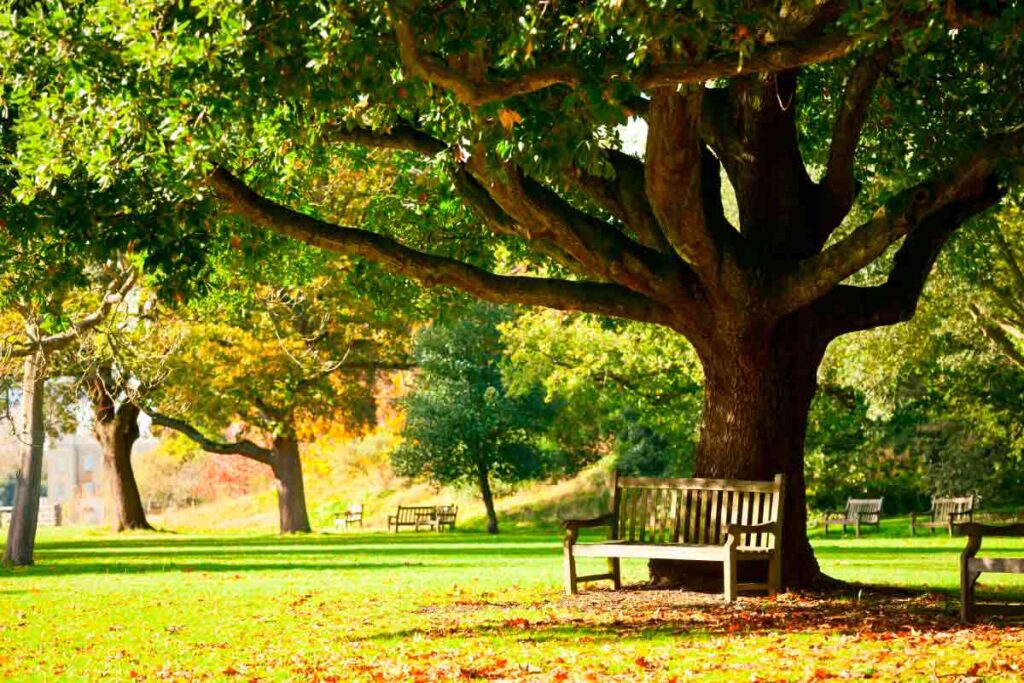 Exploring Muswell Hill London: A Hidden Gem